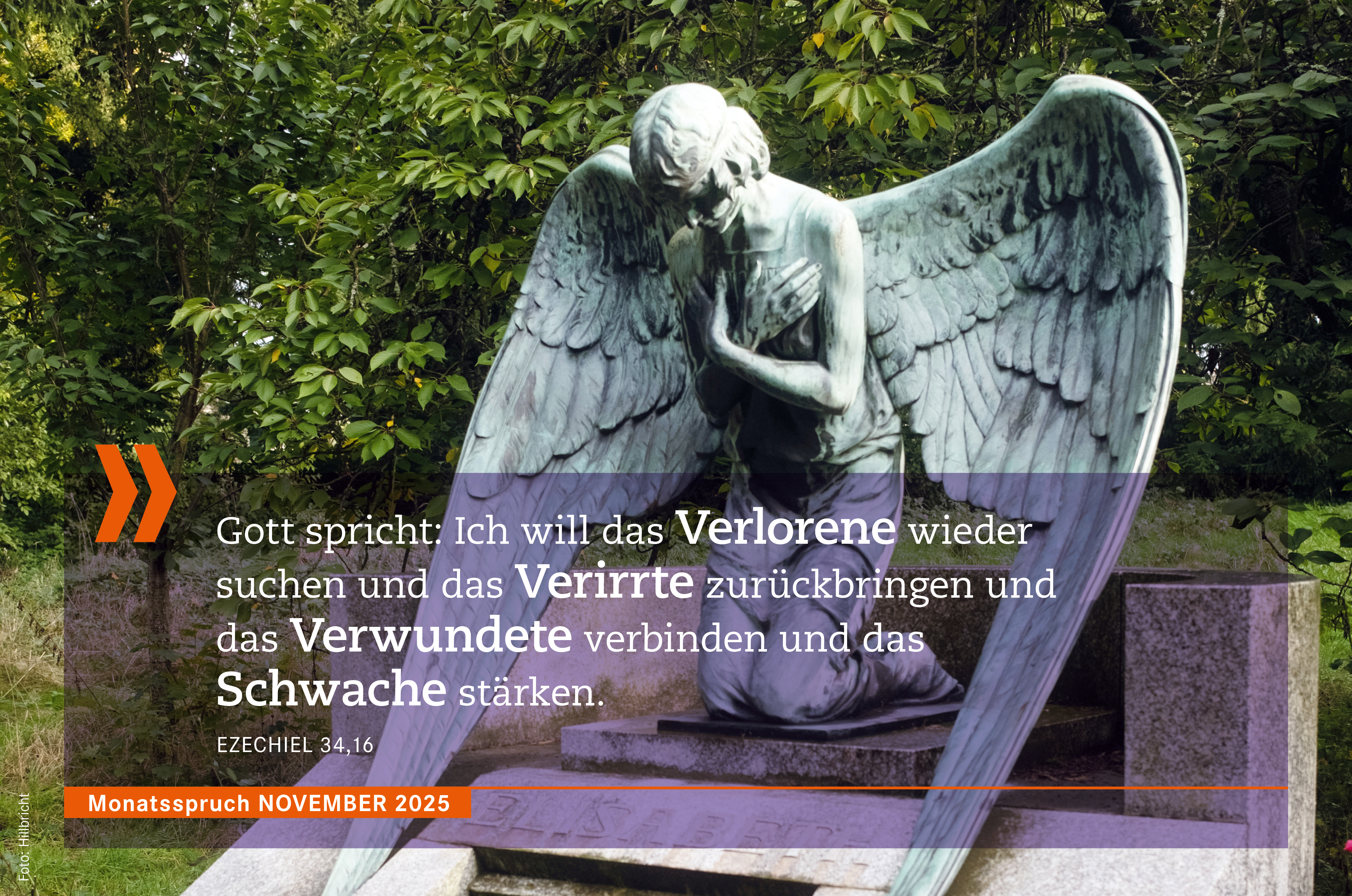 „Monatsspruch November 2025 - Gott spricht: Ich will das Verlorene wieder suchen und das Verirrte zurückbringen und das
Verwundete verbinden und das Schwache stärken. - Ezechiel 34,16