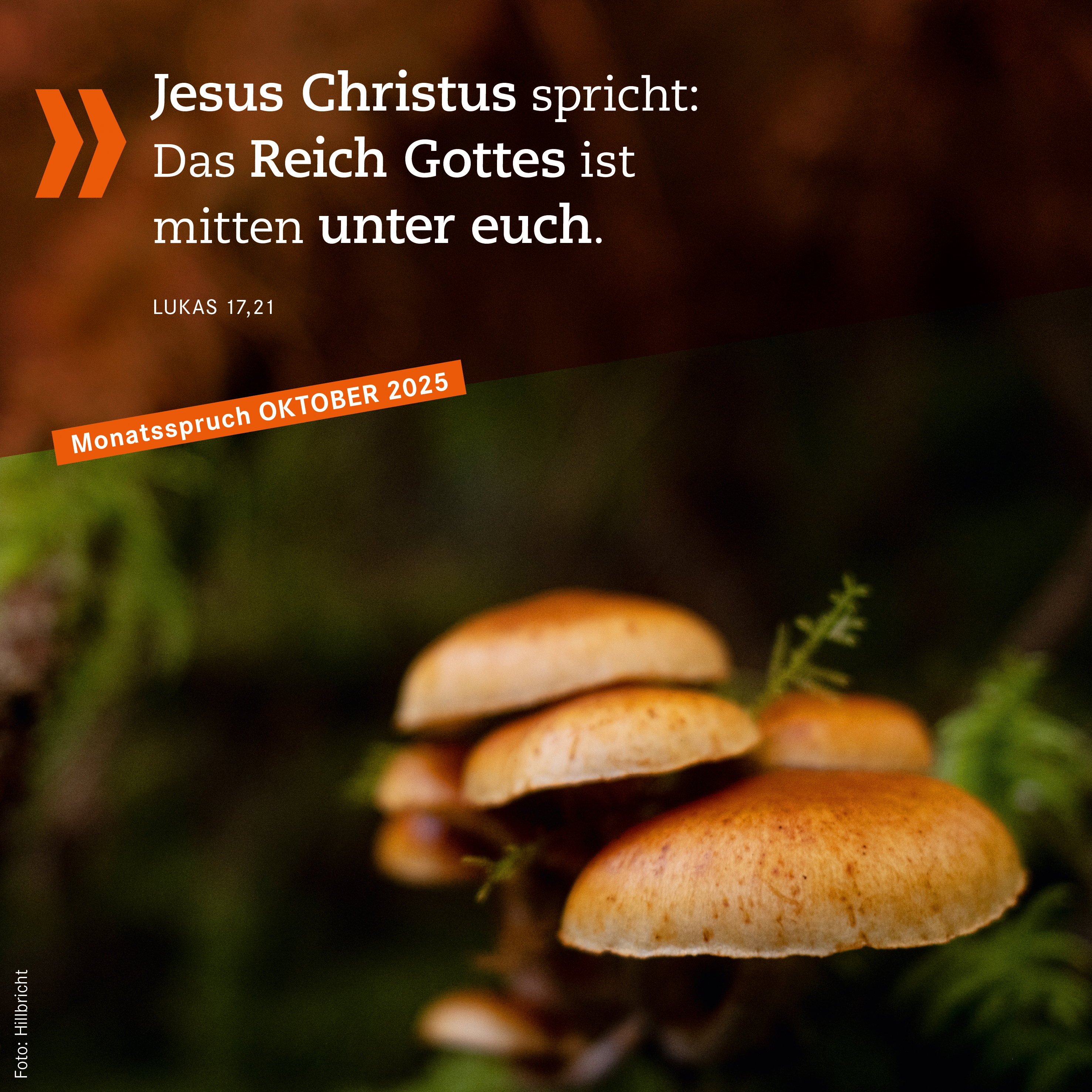 Monatslogo_Oktober