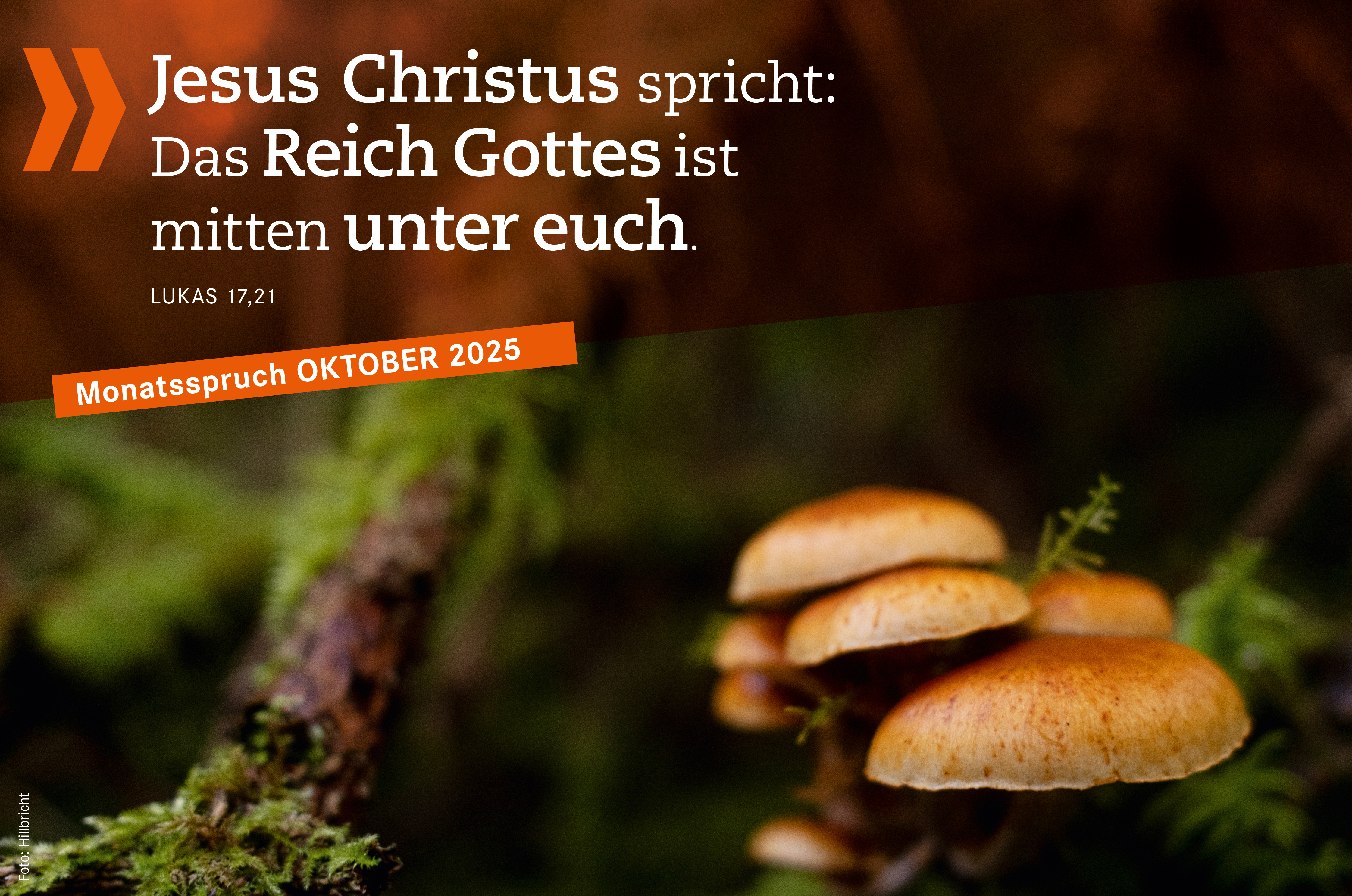„Monatsspruch Oktober 2025 - Jesus Christus spricht: Das Reich Gottes ist mitten unter euch. Lukas 17,21
