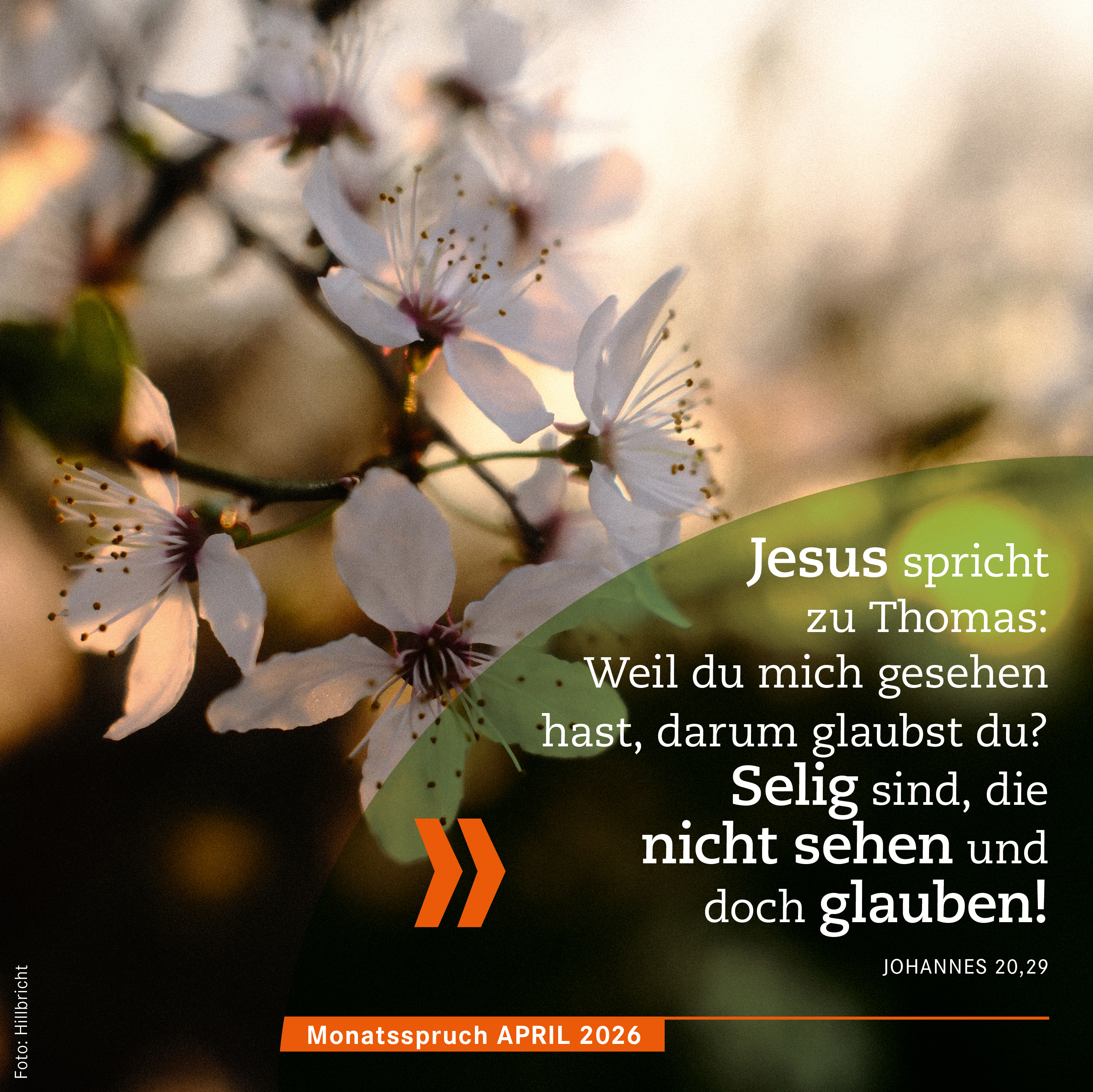 Monatsspruch_April