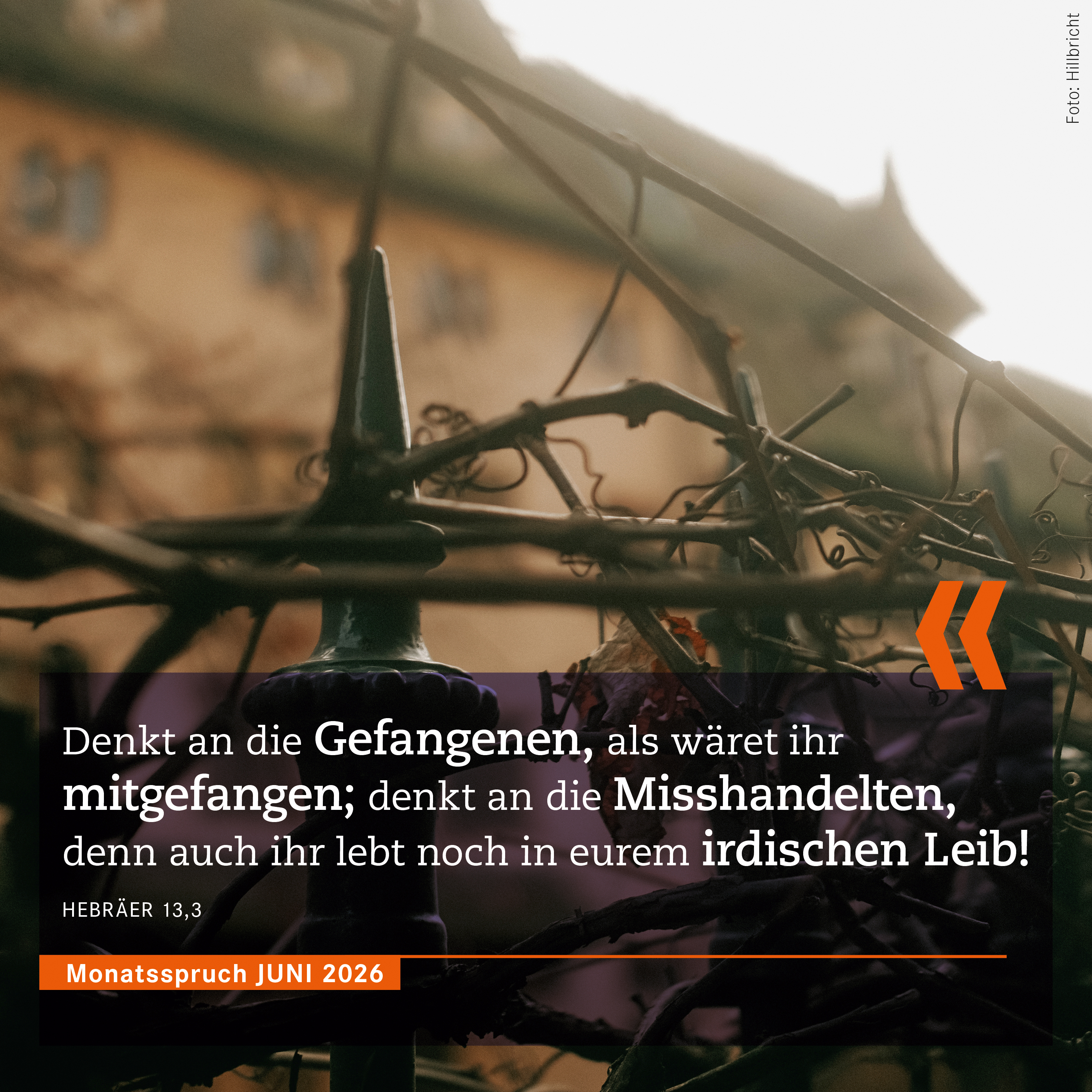 Monatsspruch_Juni