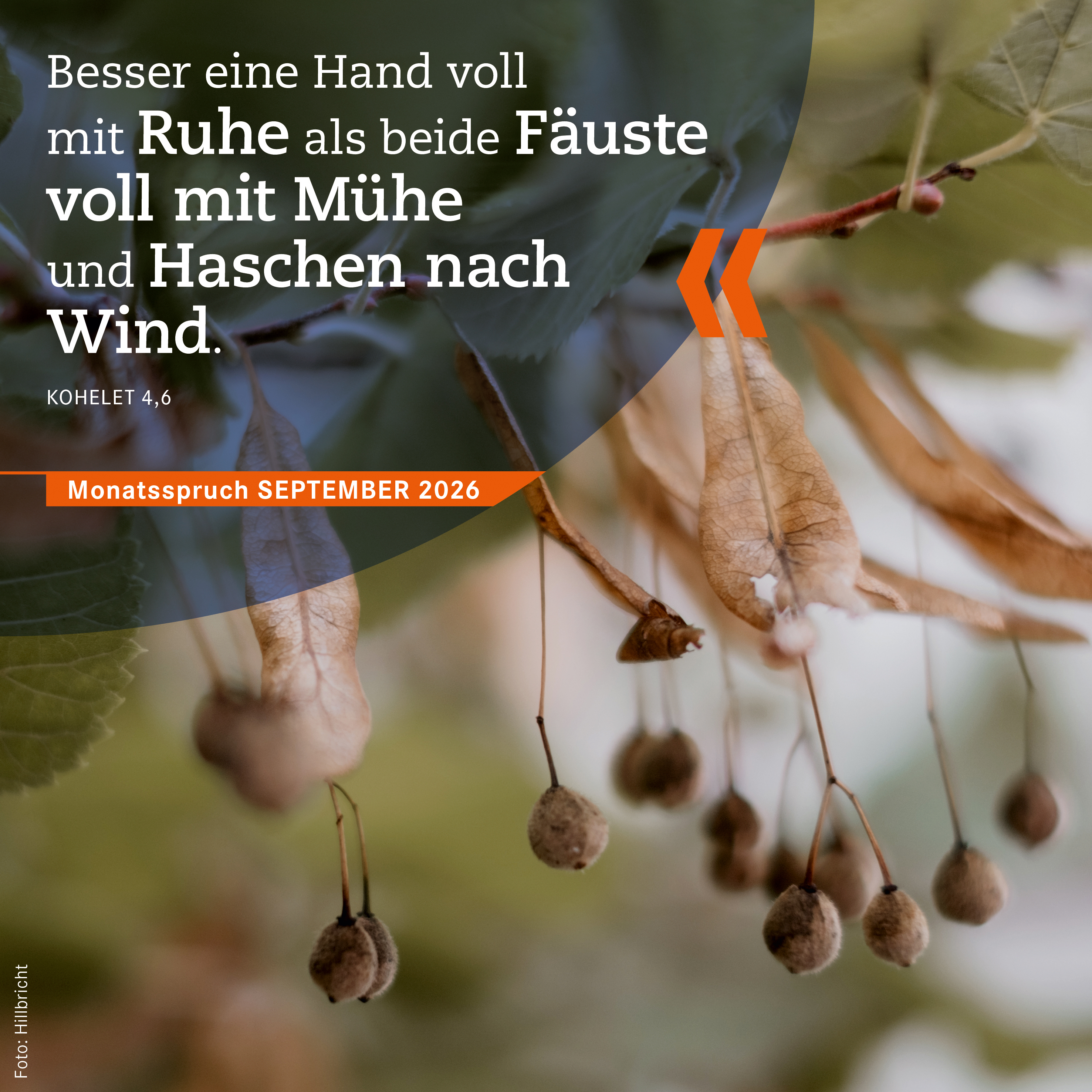 Monatsspruch_September